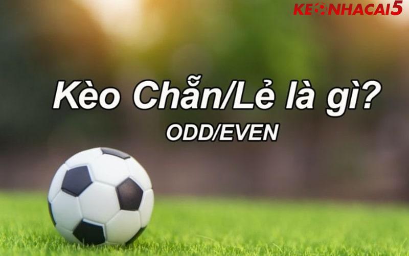 Khám phá về kèo chẵn lẻ là gì